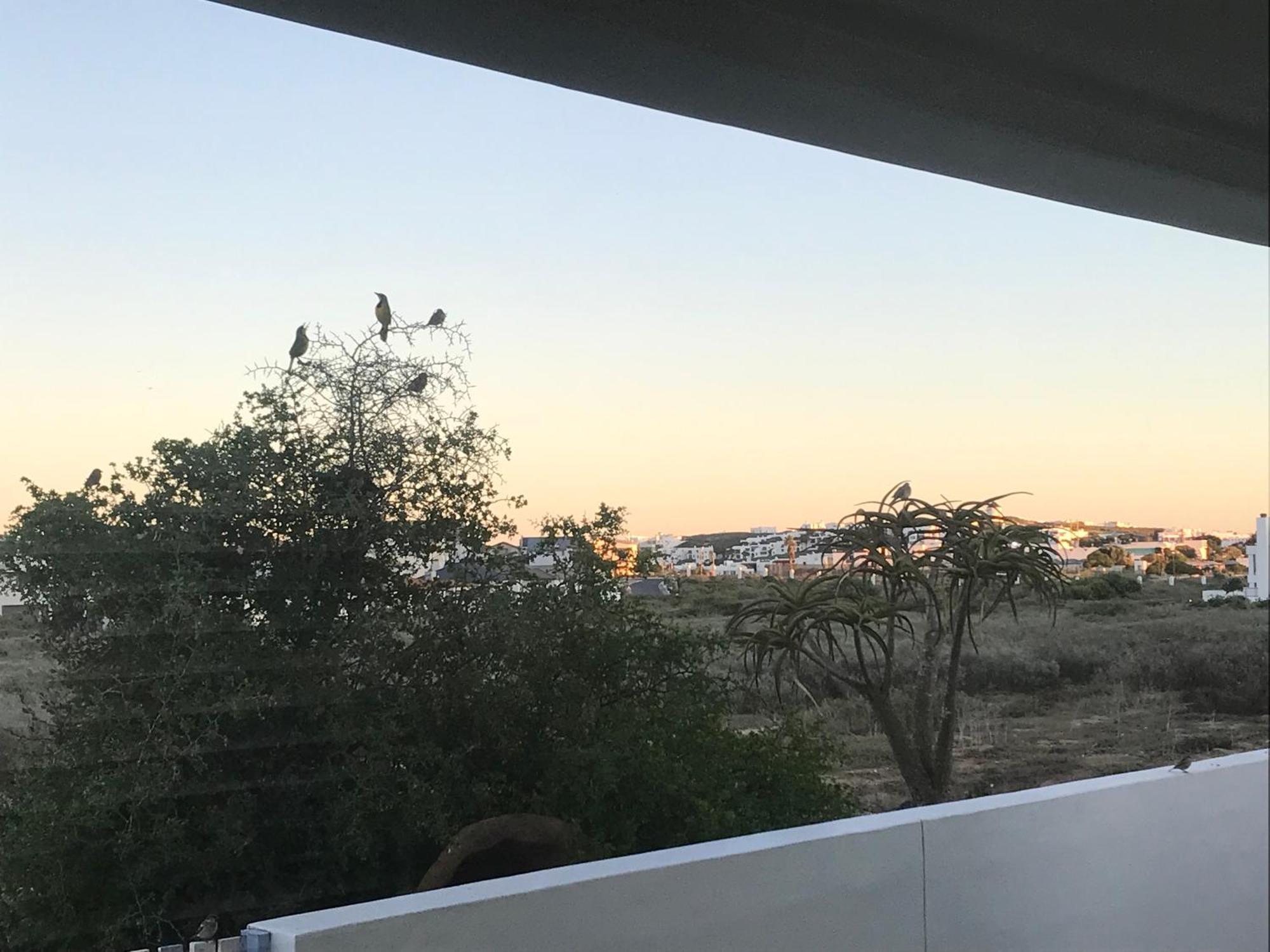 Perfect 10 - 10 To 13 Sleeper Luxury Holiday Home Breakage Deposit Of R2500 Per Weekend Lease Langebaan Extérieur photo