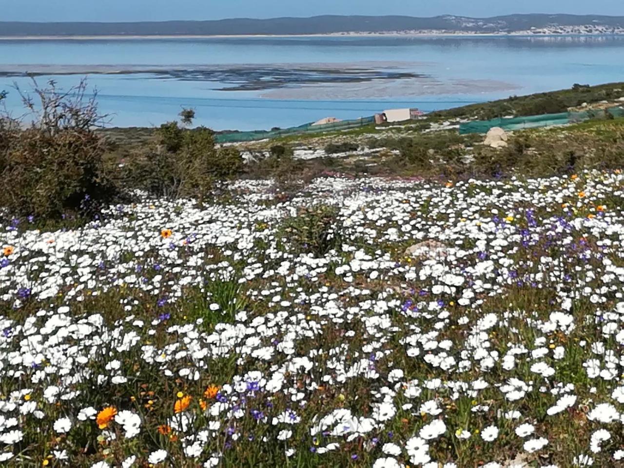 Perfect 10 - 10 To 13 Sleeper Luxury Holiday Home Breakage Deposit Of R2500 Per Weekend Lease Langebaan Extérieur photo