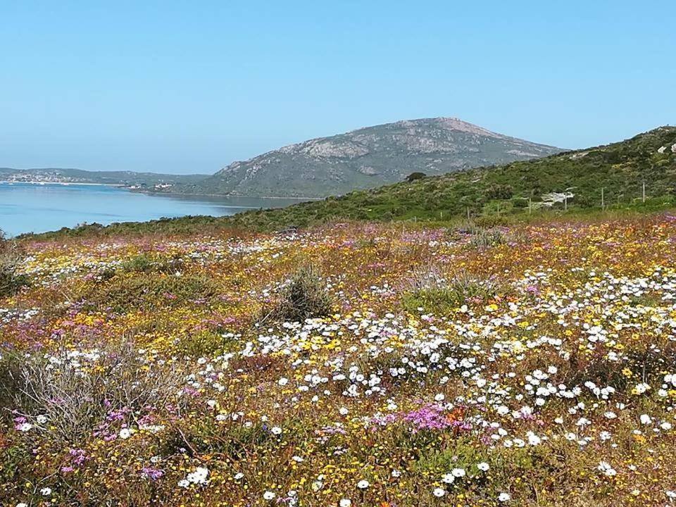 Perfect 10 - 10 To 13 Sleeper Luxury Holiday Home Breakage Deposit Of R2500 Per Weekend Lease Langebaan Extérieur photo